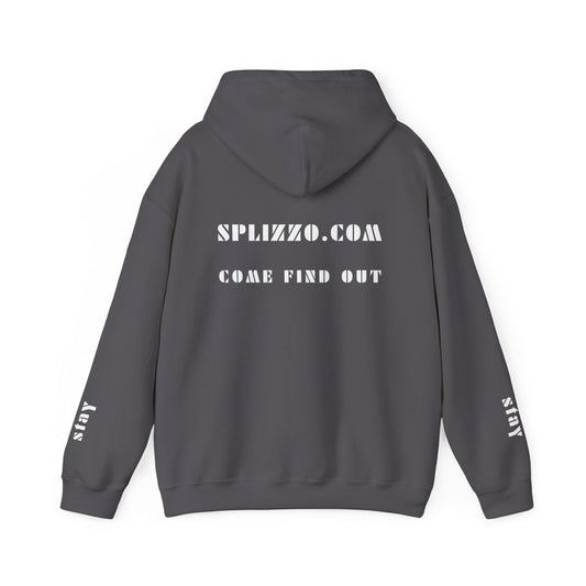 Come Find Out Splizzo Hoodie